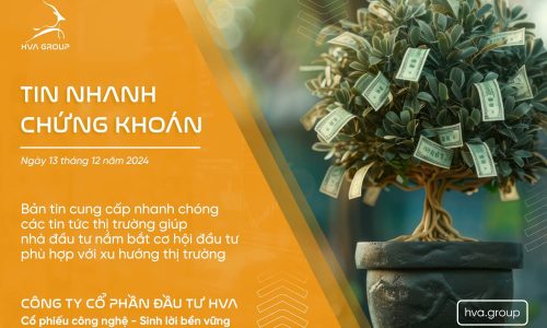 TIN NHANH CHỨNG KHOÁN NGÀY 13/12/2024