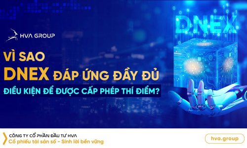 Vì sao DNEX đáp ứng đầy đủ điều kiện để được cấp phép thí điểm?